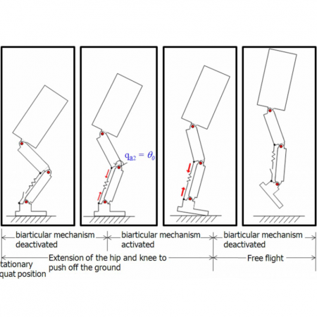 A Biarticulated Robotic Leg for Jumping Movements: Theory and Experiments
