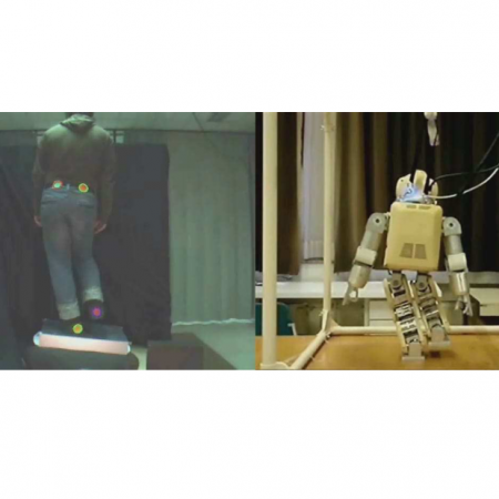 Robot Skill Synthesis Through Human Visuo-Motor Learning - Humanoid Robot Statically-stable Reaching and In-place Stepping