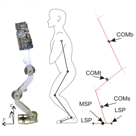 Constraining movement imitation with reflexive behavior: Robot squatting