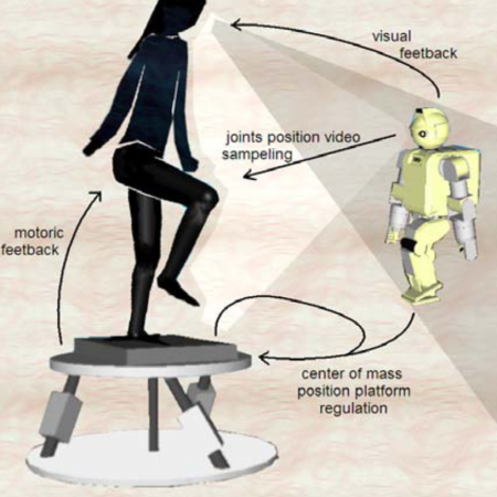 Improving balance regulation in visuo-motor control for humanoid robots