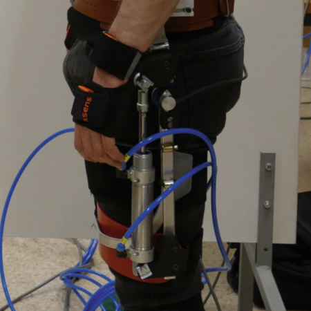 Human Trunk Stabilization with Hip Exoskeleton for Enhanced Postural Control