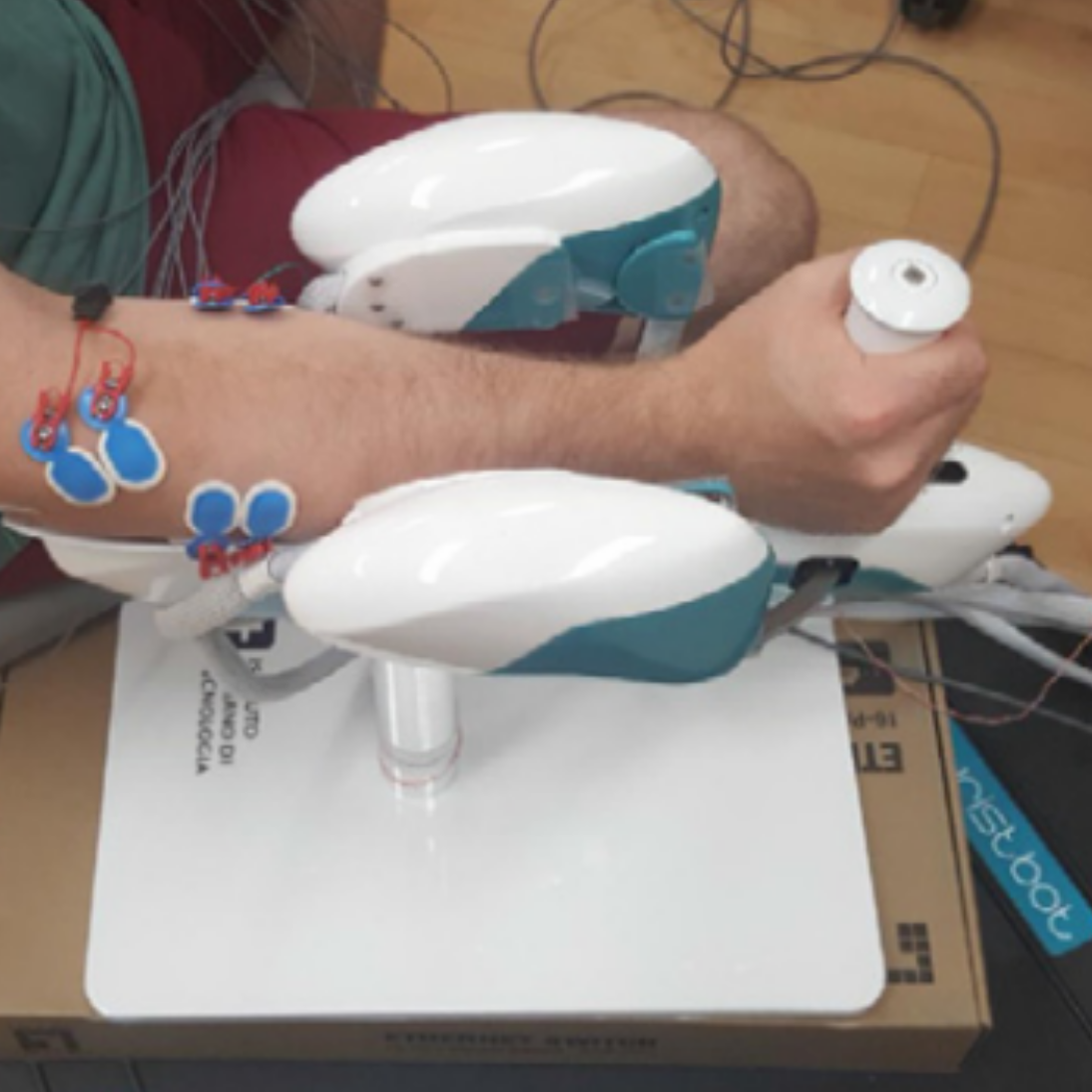 Characterizing forearm muscle activity in young adults during dynamic wrist flexion–extension movement using a wrist robot