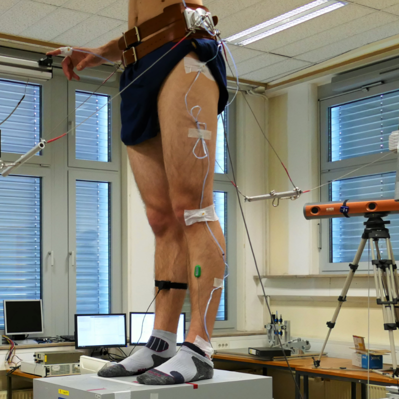 Postural control during induced stabilization of the center of mass and light touch