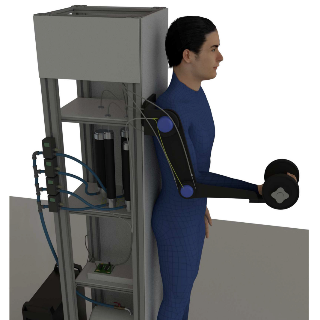 Assistive Arm-Exoskeleton Control Based on Human Muscular Manipulability