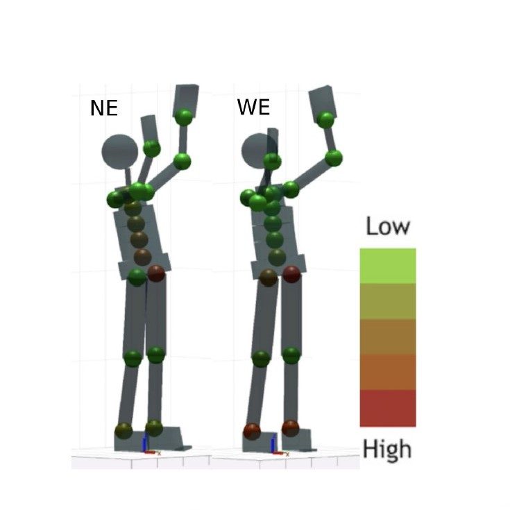Analysis of Human Whole-Body Joint Torques During Overhead Work With a Passive Exoskeleton