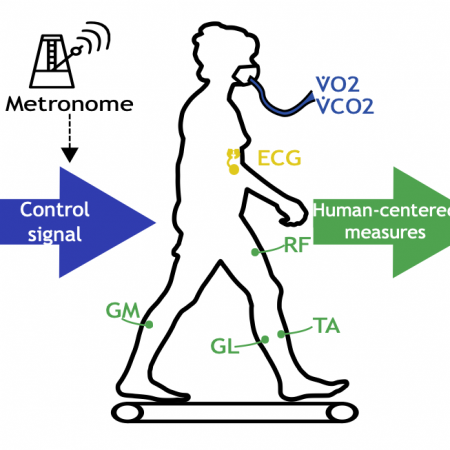 An EMG-Based Objective Function for Human-in-the-Loop Optimization.